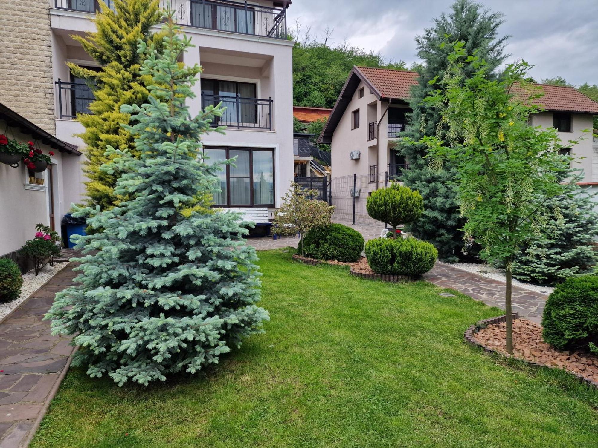 Hotel Casa Andrei Orşova Exterior foto